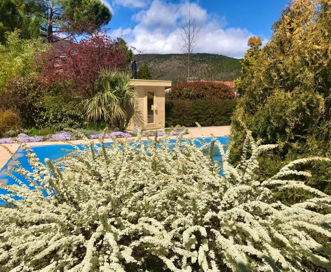 Classe 4 Etoiles Avec Sauna Et Vue Sur Le Canigou Ferienhaus Fuilla